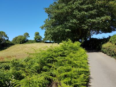 Convenience to get around small Guernsey lanes