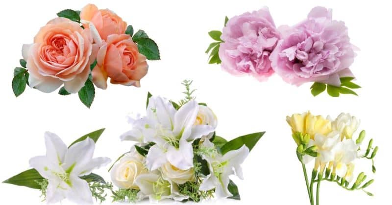 Types of Flowers and Arrangements